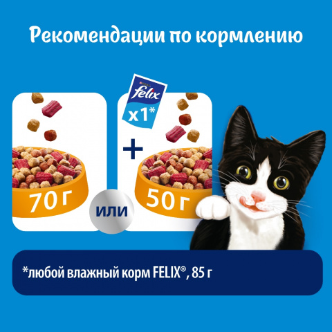 Сухой корм Двойная Вкуснятина для взрослых кошек, с птицей, 300 г 7