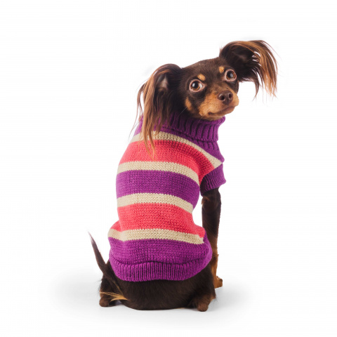 Свитер для собак 55см 4XL фиолетовый (унисекс) 1