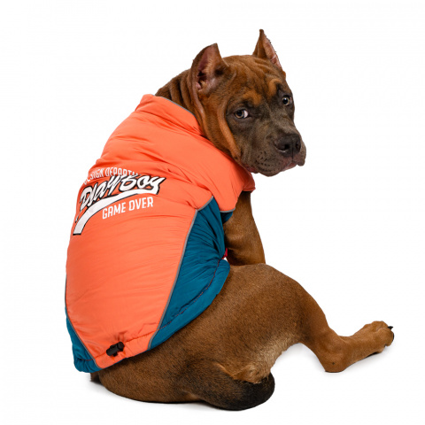 Куртка для собак 2XL оранжевый (унисекс)