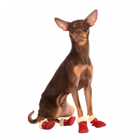 Ботинки замшевые для собак M красный (унисекс) 2