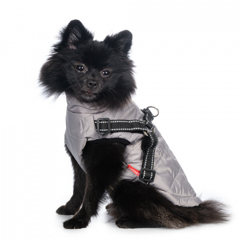 Куртка со шлейкой для собак XS серый (унисекс)