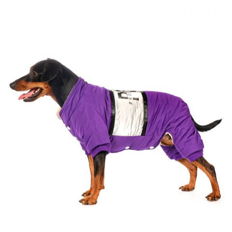 Комбинезон для собак 3XL фиолетовый (девочка)