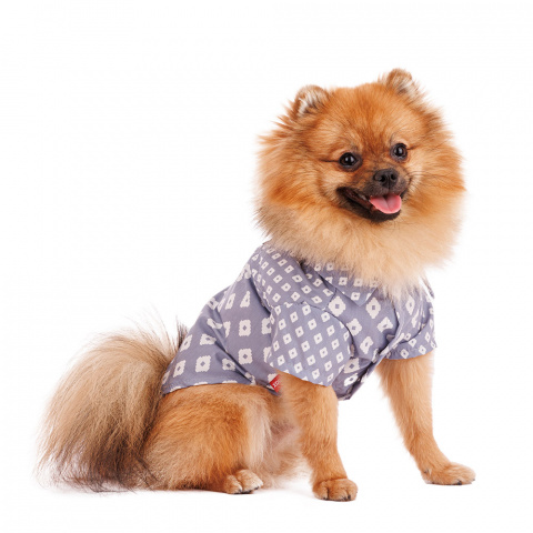 Рубашка для собак S голубой (унисекс) 1