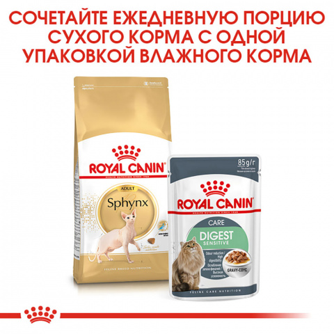 Sphynx Adult Сухой корм для взрослых кошек породы сфинкс, 2 кг 3