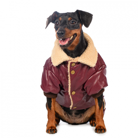 Куртка из кожзама для собак 3XL бордовый (унисекс)