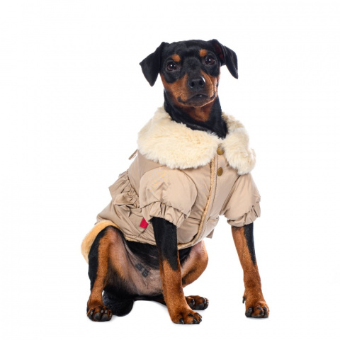 Куртка-плащ для собак XL бежевый (унисекс) 6