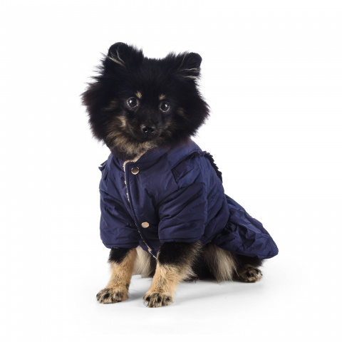 Куртка-платье для собак M синий (девочка)