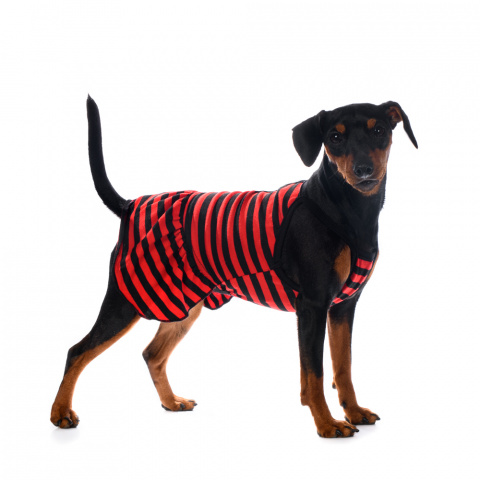 Платье XL для собак в полоску красное