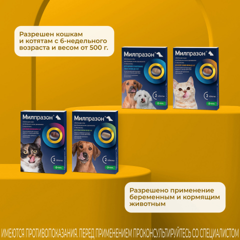 Милпразон Антигельминтные таблетки для котят и кошек весом до 2 кг, 2 таблетки 4