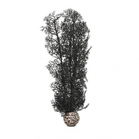Растение Морской веер (горгонария) М чёрный
