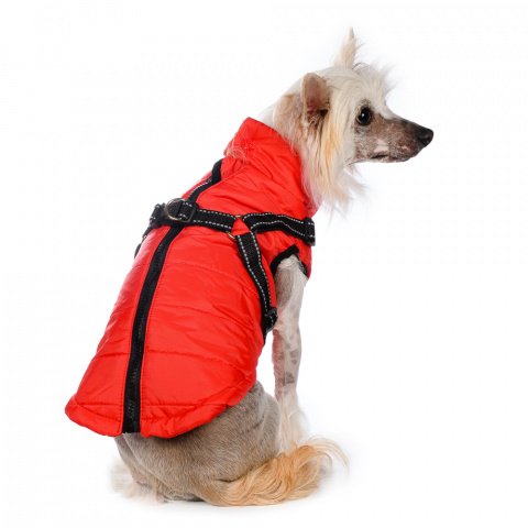 Куртка со шлейкой для собак XL красный (унисекс) 1