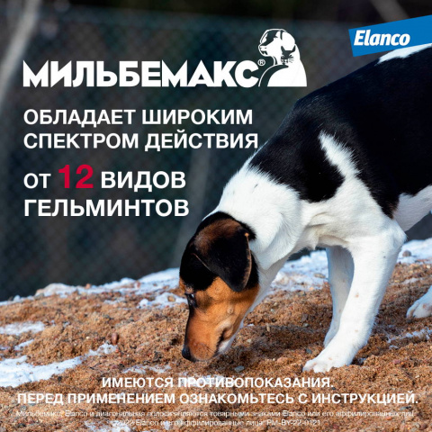 Мильбемакс Таблетки от гельминтов для собак крупных пород весом 5-50 кг, 2 таблетки 4