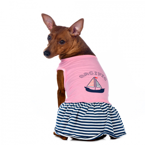 Платье для собак розово-синее L Space-Travel 4
