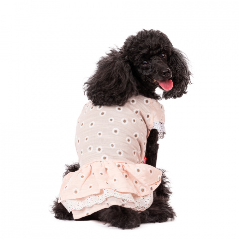 Платье для собак с ромашками 2XL розовый (девочка) 2