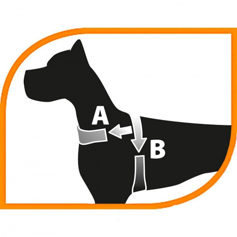 Шлейка для собак Daytona Medium, A: 51-55 см, B: 53-61 см, 15 мм, черная 1