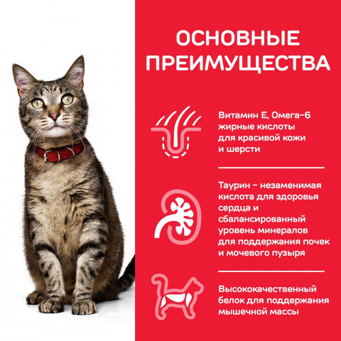 Science Plan Optimal Care консервы для кошек, с лососем, 82г 1