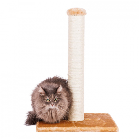 Когтеточка-столбик для кошек Bliss на подставке бежевый, 38х38х59 см 1
