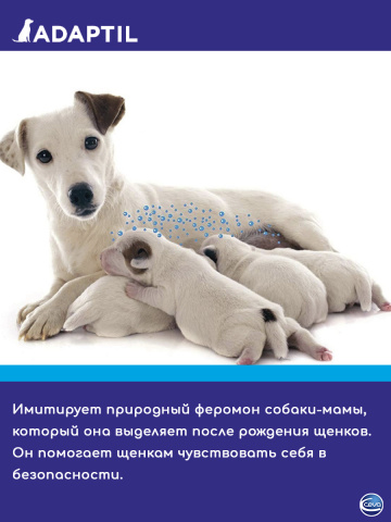 Адаптил Ошейник с успокаивающими феромонами для собак в стрессовых ситуациях, 37,5 см 2