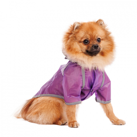 Дождевик для собак с капюшоном M фиолетовый (унисекс)