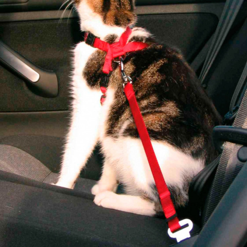 Автомобильный ремень безопасности для кошки 20-50 см 1