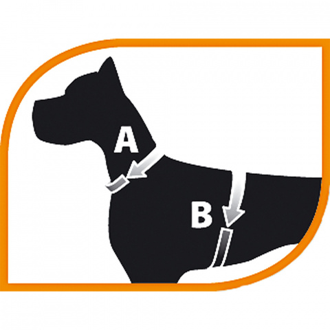 Шлейка для собак Daytona Medium, A: 51-55 см, B: 53-61 см, 15 мм, красная 1