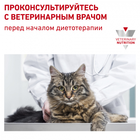 Hypoallergenic DR25 корм для кошек с пищевой аллергией, 2,5 кг 6