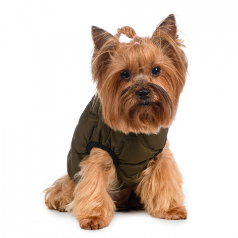 Куртка на молнии для собак S зеленый (унисекс)