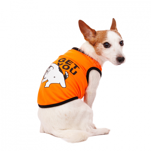Футболка для собак с хаски M оранжевый (унисекс) 2