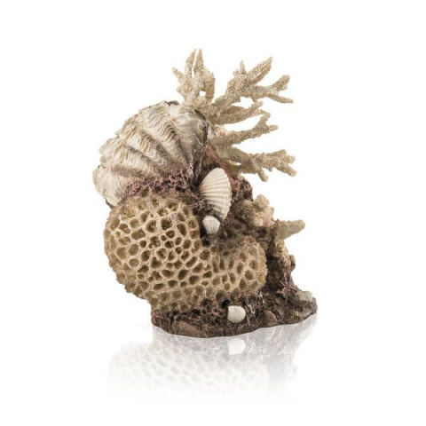 Скульптура Коралловые ракушки Натуральный