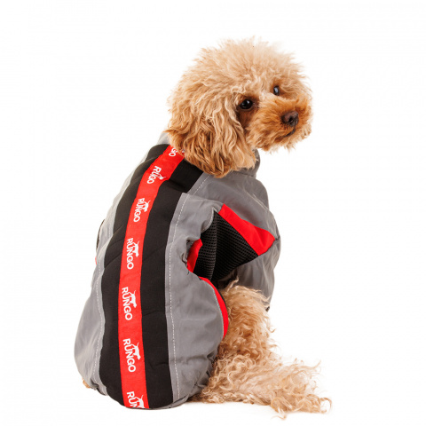 Куртка на молнии для собак мелких пород Карликовый пинчер, Джек Рассел, Бигль 29x42x27см M серый (унисекс)