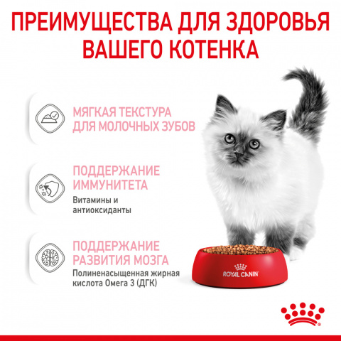 Kitten влажный корм для котят от 4 до 12 месяцев кусочки в соусе, 85 г 6