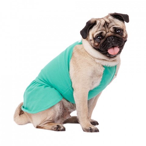 Платье для собак с ромашкой 2XL зеленый (девочка) 2