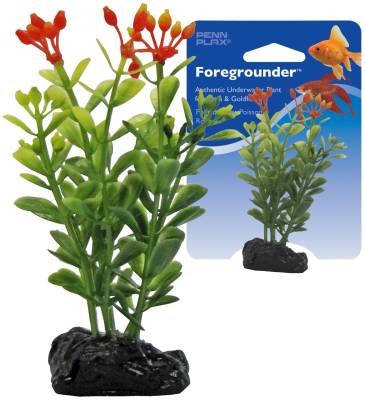 Растение для аквариума Маниворт оранжево-зеленое 9 см