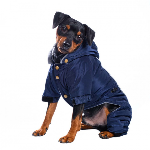 Комбинезон с капюшоном для собак XL синий (унисекс) 4