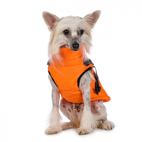 Куртка со шлейкой для собак XL желтый (унисекс) 1