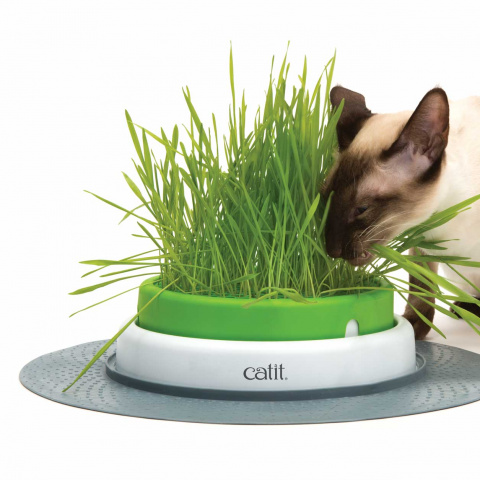 Catit Сад с травкой для кошек 1