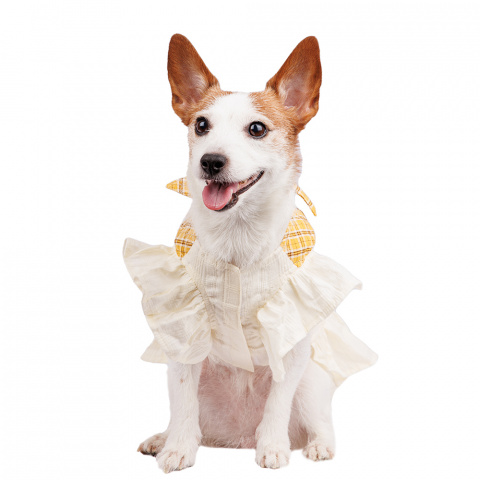 Платье с бантиком для собак Pure Sun L белый (девочка) 2