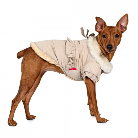 Куртка-плащ для собак L бежевый (унисекс) 1