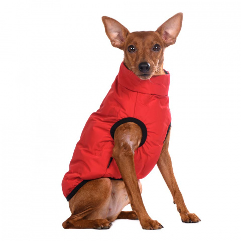 Куртка на молнии для собак L красный (унисекс) 3