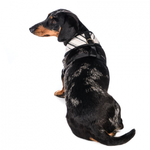 Шлейка для собак XL, серая, обхват груди: 58-78 см 1