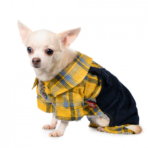 Костюм с рубашкой для собак S желтый (унисекс)