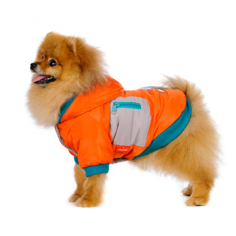 Куртка для собак оранжевая