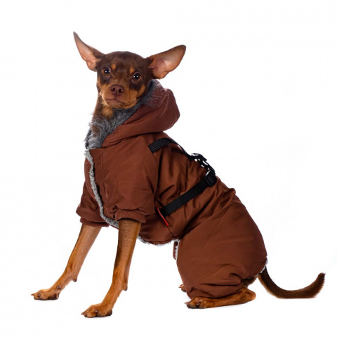 Комбинезон со шлейкой и капюшоном для собак S коричневый (унисекс)