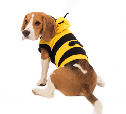 Костюм карнавальный для собак Пчёлка L желтый (унисекс)