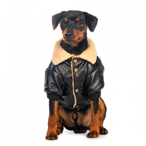 Куртка из кожзама для собак 4XL черный (унисекс) 1