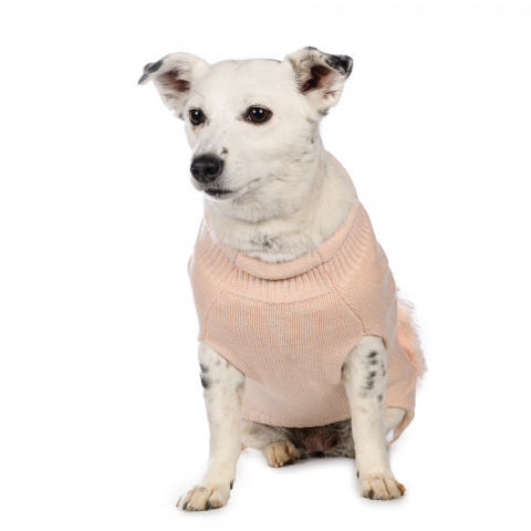 Свитер для собак 4XL розовый (унисекс)