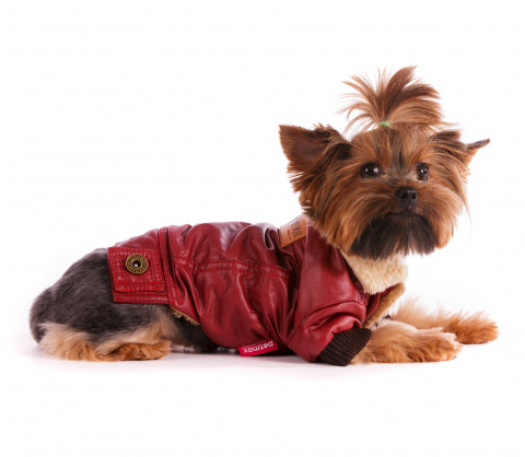 Куртка из кожзама для собак XS бордовый (унисекс)
