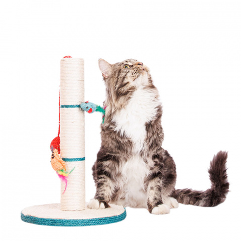 Когтеточка-столбик для кошек круглая с игрушками-мышками и шариком, белый/голубой, 30х30х46 см 1