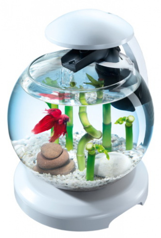 Cascade Globe White аквариум 6,8 л круглый с LED светильником, белый