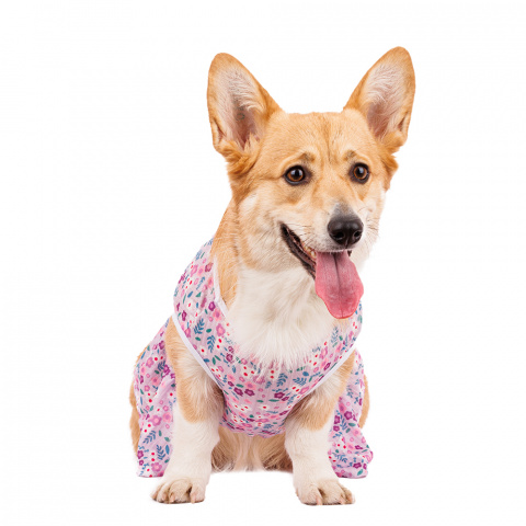 Платье для собак в цветочек XL фиолетовый (девочка) 1